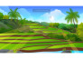 create 2d animated explainer video or marketing sales video
